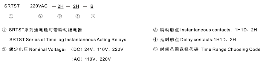 SRTST-110VDC-2H-2H-B型号及其含义